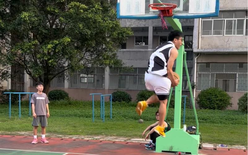 被无数观众
