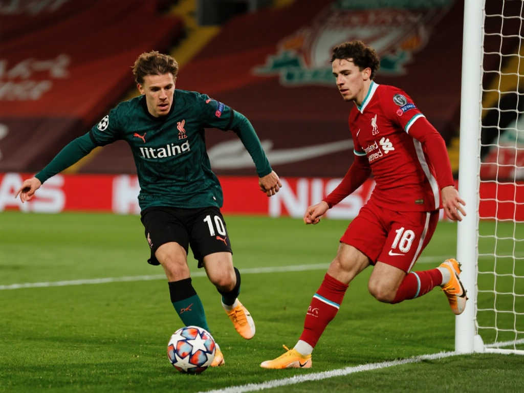 体育明星不 体育明星不